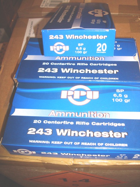 Prvi Partizan - .243 Winchester Soft Point 100 grain - 20 Round